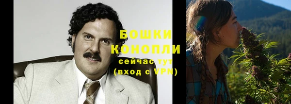 молекула духа Покровск