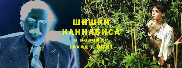 молекула духа Покровск