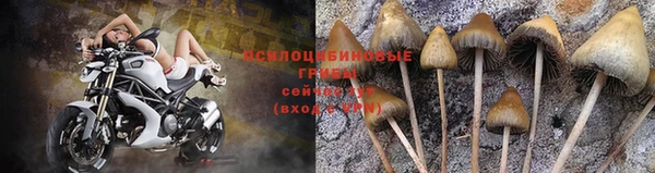 молекула духа Покровск