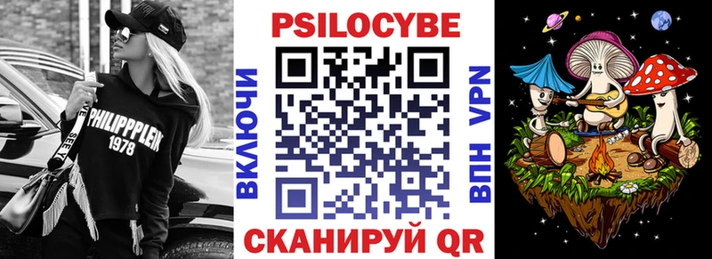 Псилоцибиновые грибы Psilocybe  Мыски 